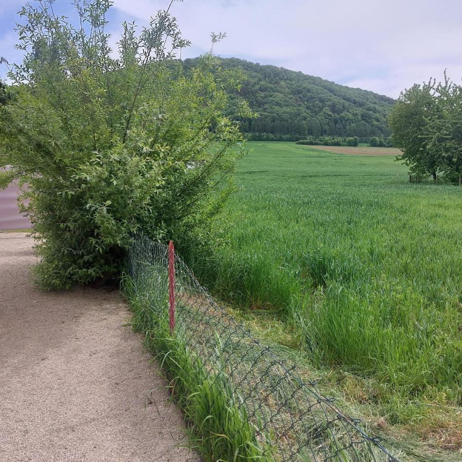 Ferienwohnung Rudat Treuchtlingen Buitenkant foto